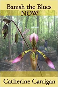 51x95ucCY+L._SX331_BO1,204,203,200_