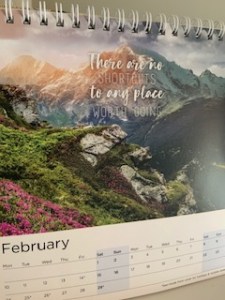 Author Shelley Wilson, Desk Calendar